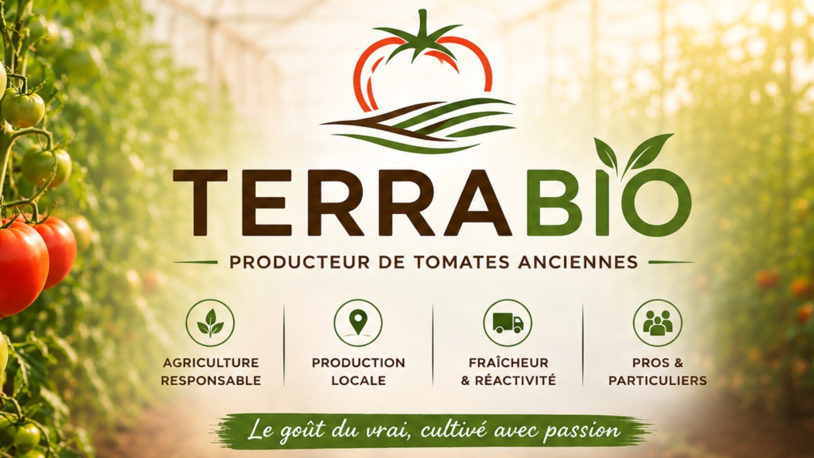 Couverture LES RECOLTES DU SUD